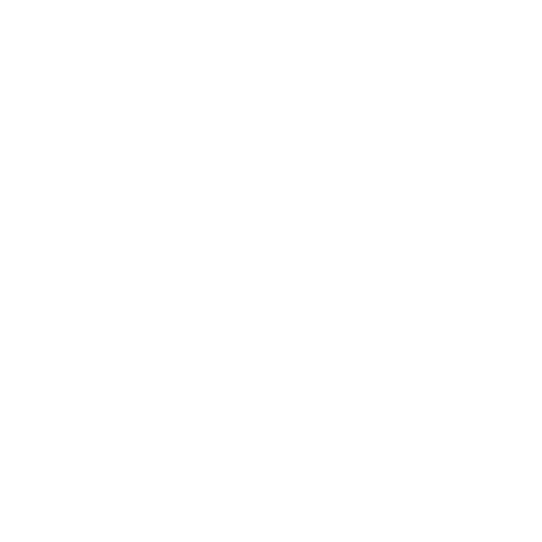 x logo